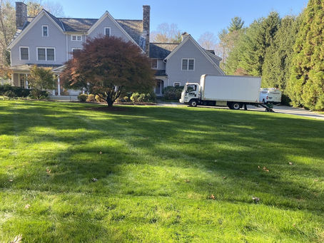 lawn care-13.jpeg