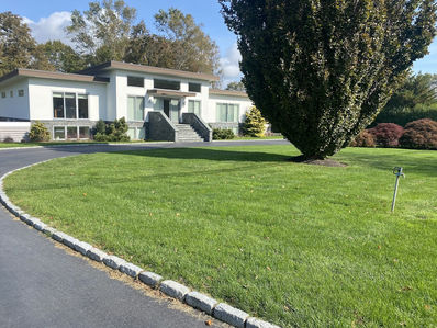 lawn care-18.jpeg
