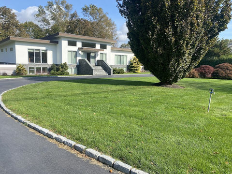 lawn care-18.jpeg