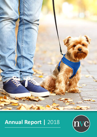 NVCreport.jpg