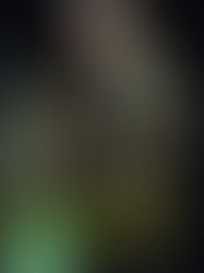 STAGES 2026 (3heures)