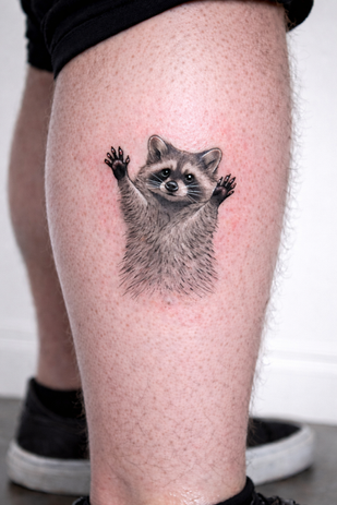 Cute black and grey raccoon tattoo with raised paws, tattooed on the calf at White Sloth Tattoo Shop in Tamarindo, Costa Rica.