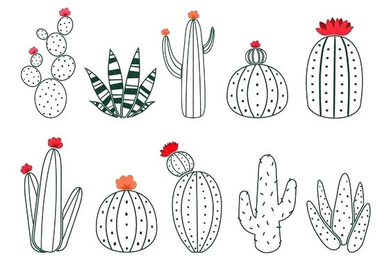 Benzerlerini arayan bir kaktüsmüşüm ben