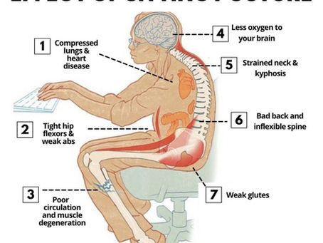 Sitzhaltung & Körpergesundheit – warum gutes Sitzen mehr ist als Komfort