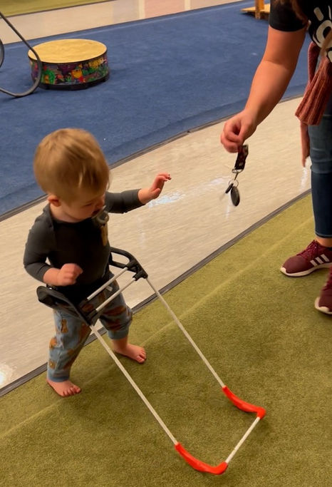 I know why the blind toddler is failing to meet independent walking milestones by age two.