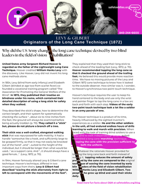 Levy & Gilbert, Two Innovative Blind Leaders in Vision Rehabilitation