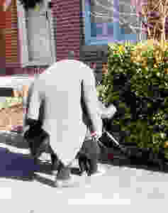 Student M. reaches his hand ahead to locate the bush his cane frame has pushed into.