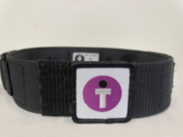 black structured belt with safe toddles logo facing forward and top half of back inside size tag visible