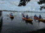 Kayak Tours