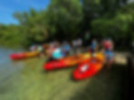 Kayak Tours