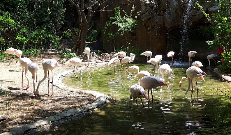 South Korea 5D4N Join Tour -Tagy Travel Korea USD290P/P