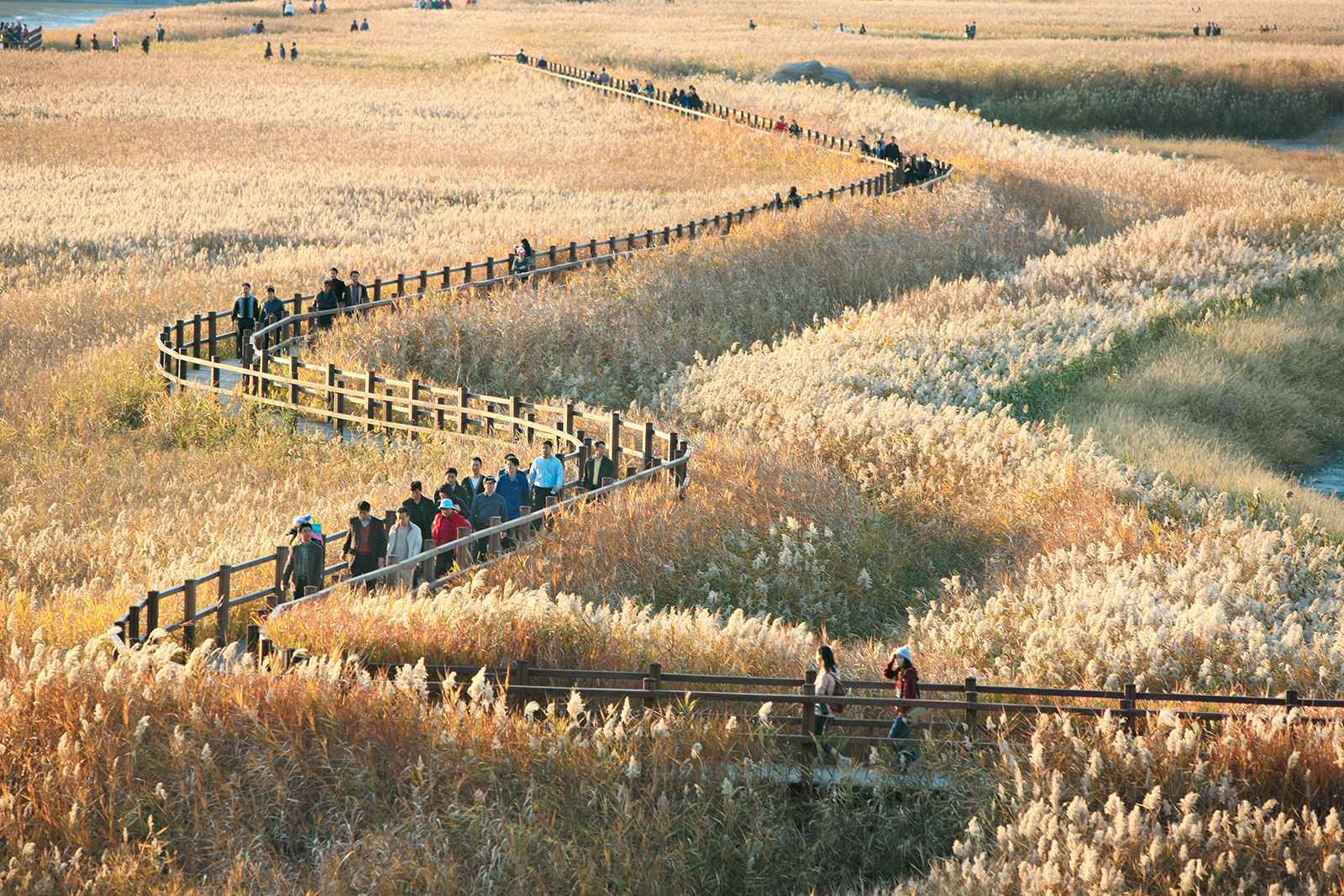 13-Day Discover Korea photo 13