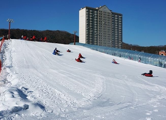 Hwacheon Trout Ice Festival Tour photo 4