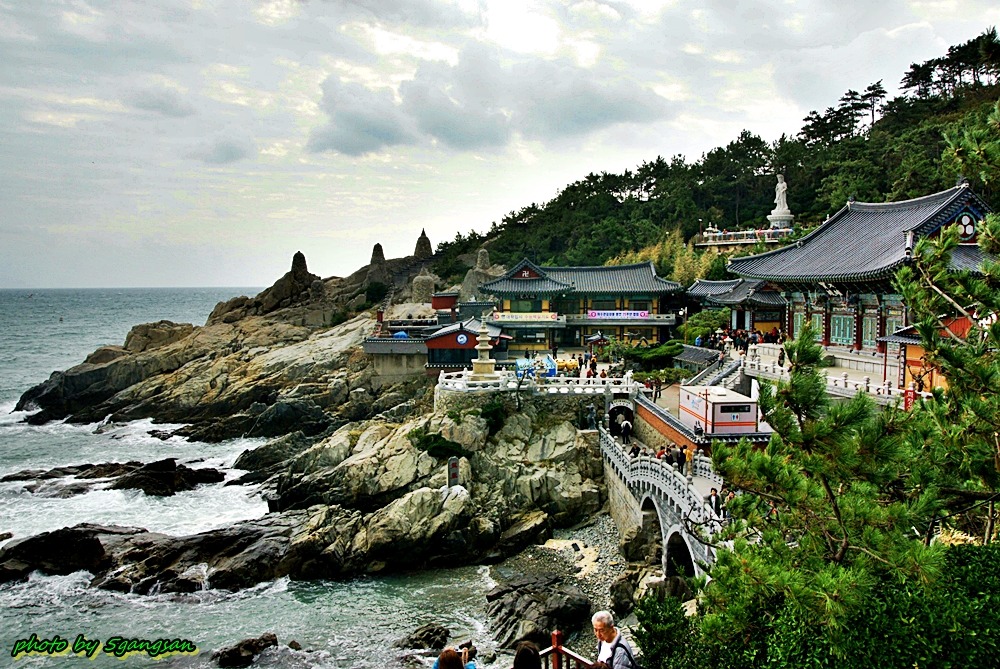 Busan Tour from Seoul by KTX photo 6
