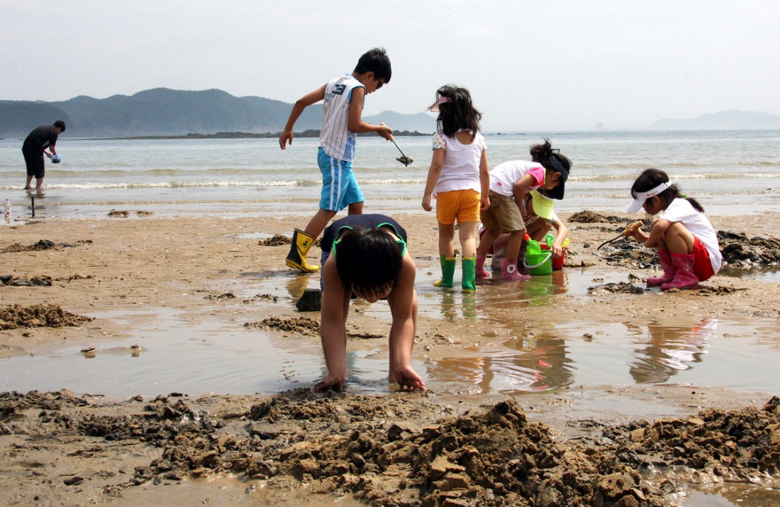 Salt Farm & Mud Field Experience photo 2