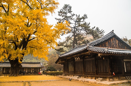 전주향교8.jpg