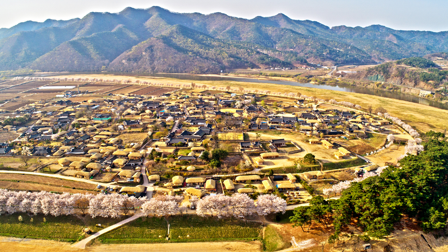 13-Day Discover Korea photo 5