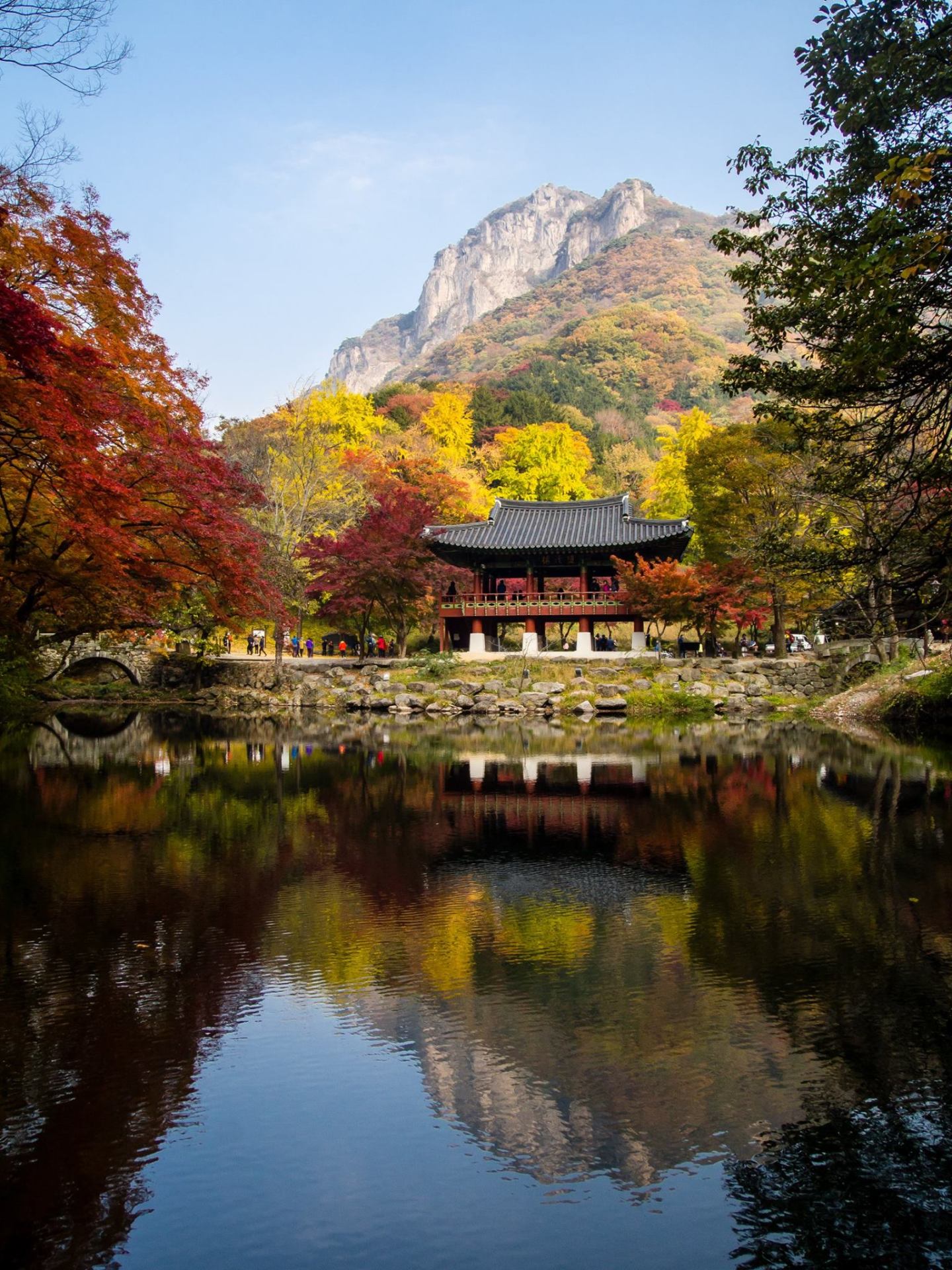 2-Day Mt. Naejang & Jeonju Hanok Village photo 2
