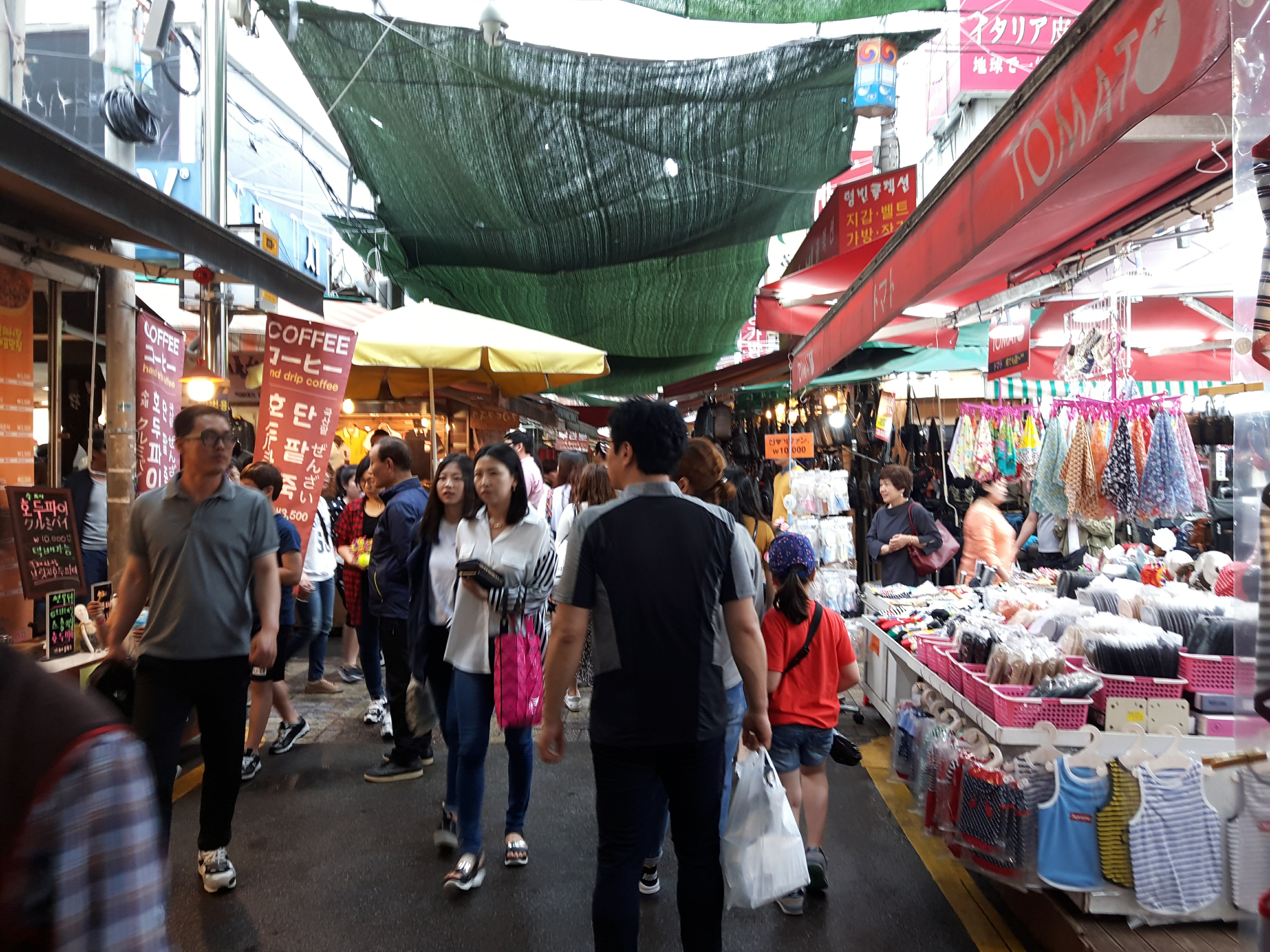 2-Day Busan City Tour from Seoul by KTX photo 4