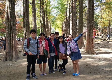 Nami Island, Pocheon Art Valley Tour, 1day Seoul Tours