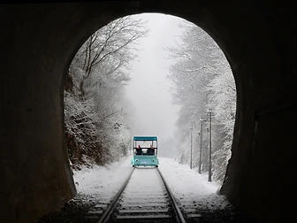Nami Island & Gangchon Railbike