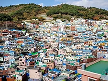 Busan Tour from Seoul by KTX photo 2