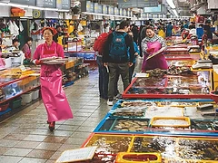 Jagalchi Fish Market — Busan Tour from Seoul by KTX