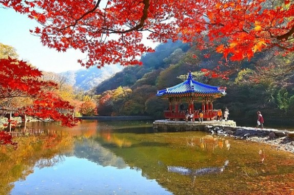 2-Day Mt. Naejang & Jeonju Hanok Village photo 1