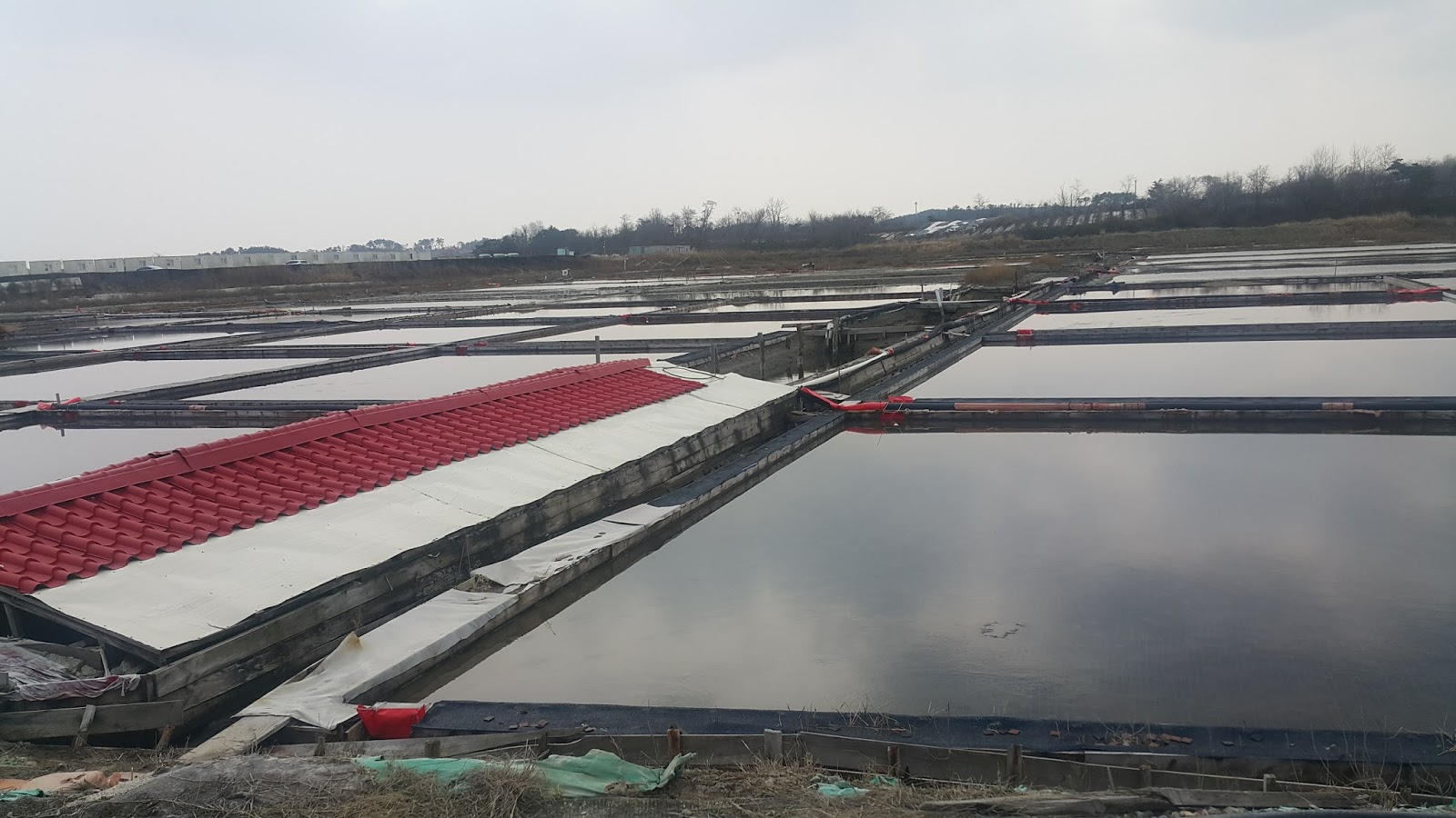 Salt Farm & Mud Field Experience photo 1
