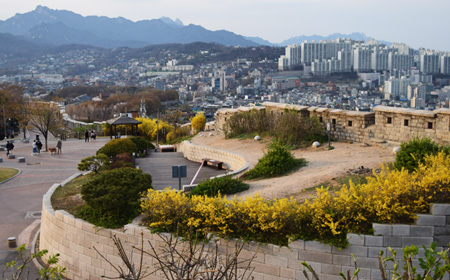 13-Day Discover Korea photo 1