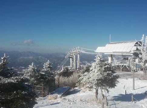 Korea winter sport