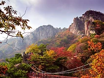 2-Day Mt. Naejang & Jeonju Hanok Village
