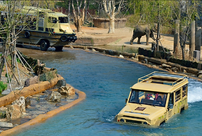 Korea private tour-Tagytravelkorea, Lost Valley safari