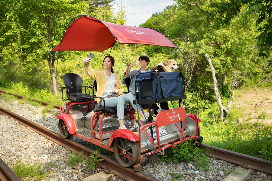 Nami Island & Gangchon Railbike photo 2