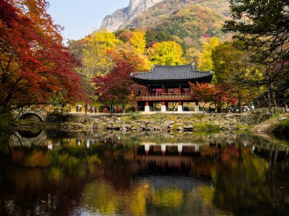 Naejangsan National Park & Baekyangsa Temple photo 3