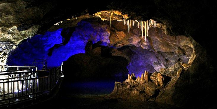 Samcheok Ocean Railbike & Cave Tour photo 2