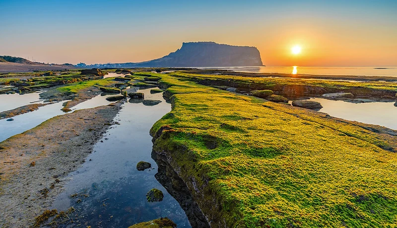 3-Day Highlights of Jeju Island Tour
