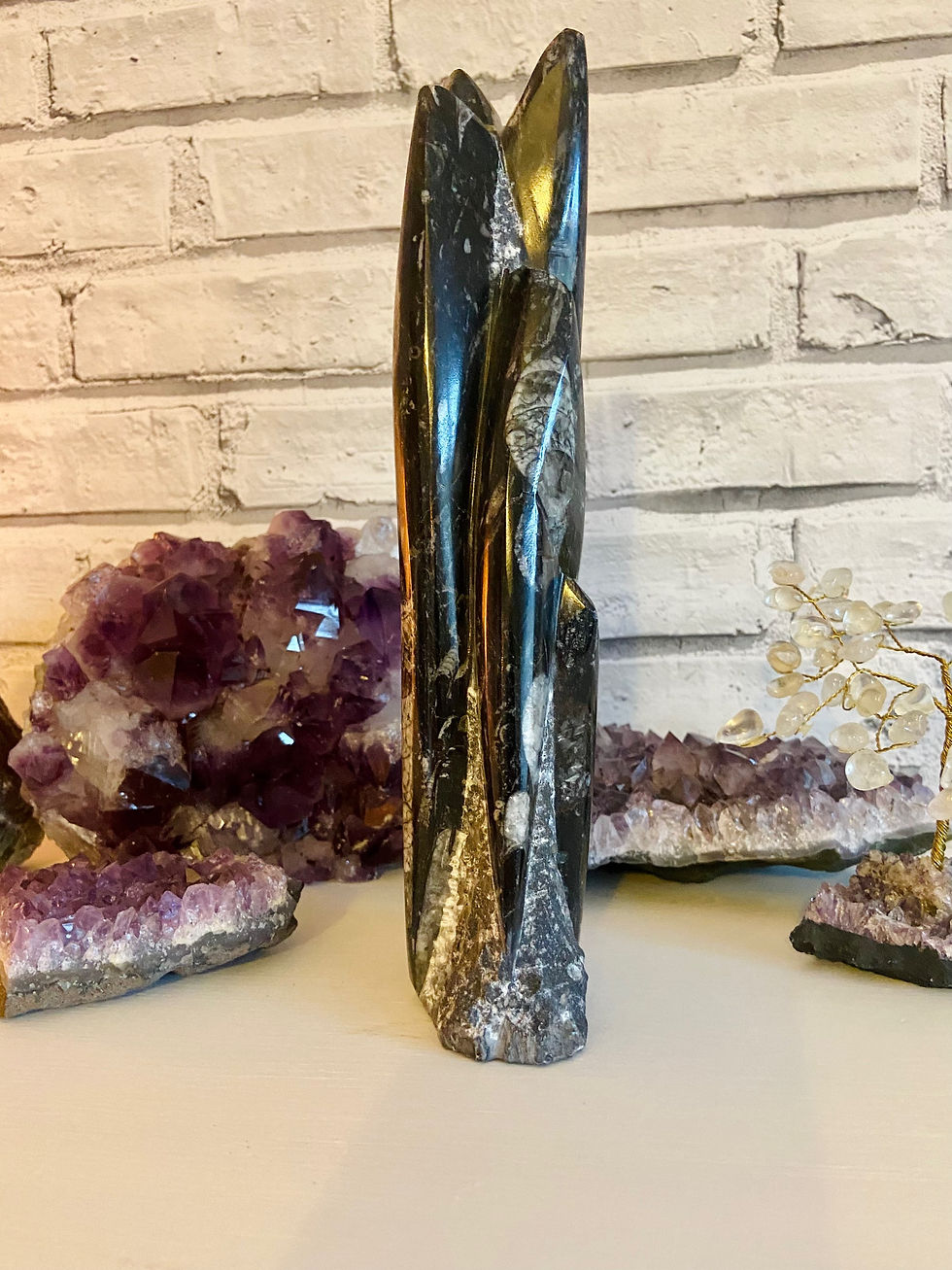 Thumbnail: Orthoceras Tower - Approx 25cm