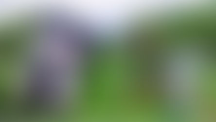 Recenzie | "Ce încredințăm vântului" de Laura Imai Messina