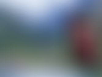 Recenzie | "Son" de Johana Gustawsson & Thomas Enger (Kari Voss #1)