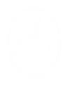 Ap (1).png
