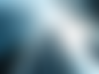 Unlock the Potential of Insurance Services