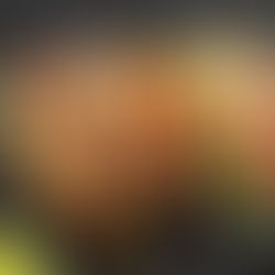 Tacos de maïs au tofu