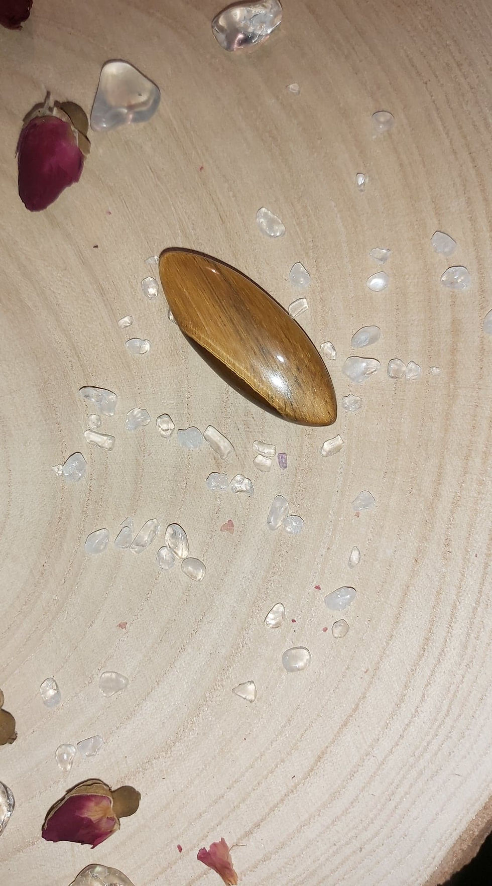 Miniature : OEIL DE TIGRE - Cabochon marquise 02