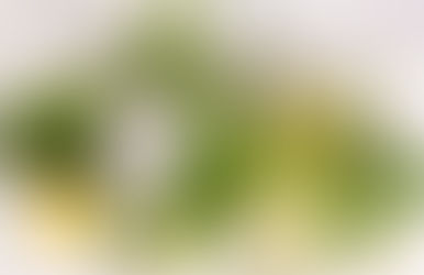 QU'EST-CE-QUE L'AROMATHERAPIE ?