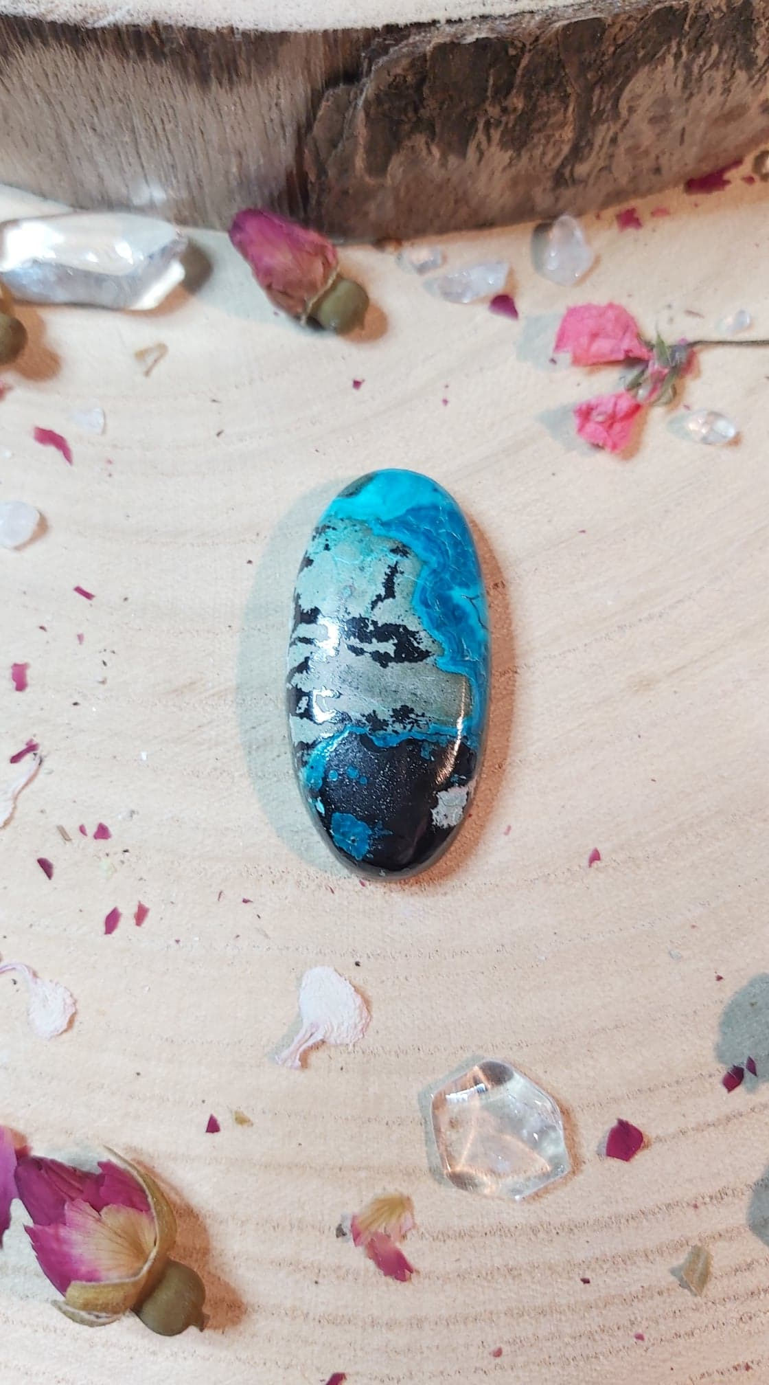 CHRYSOCOLLE - Cabochon Ovale 06