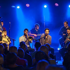 Image live blue mocking bird.jpg