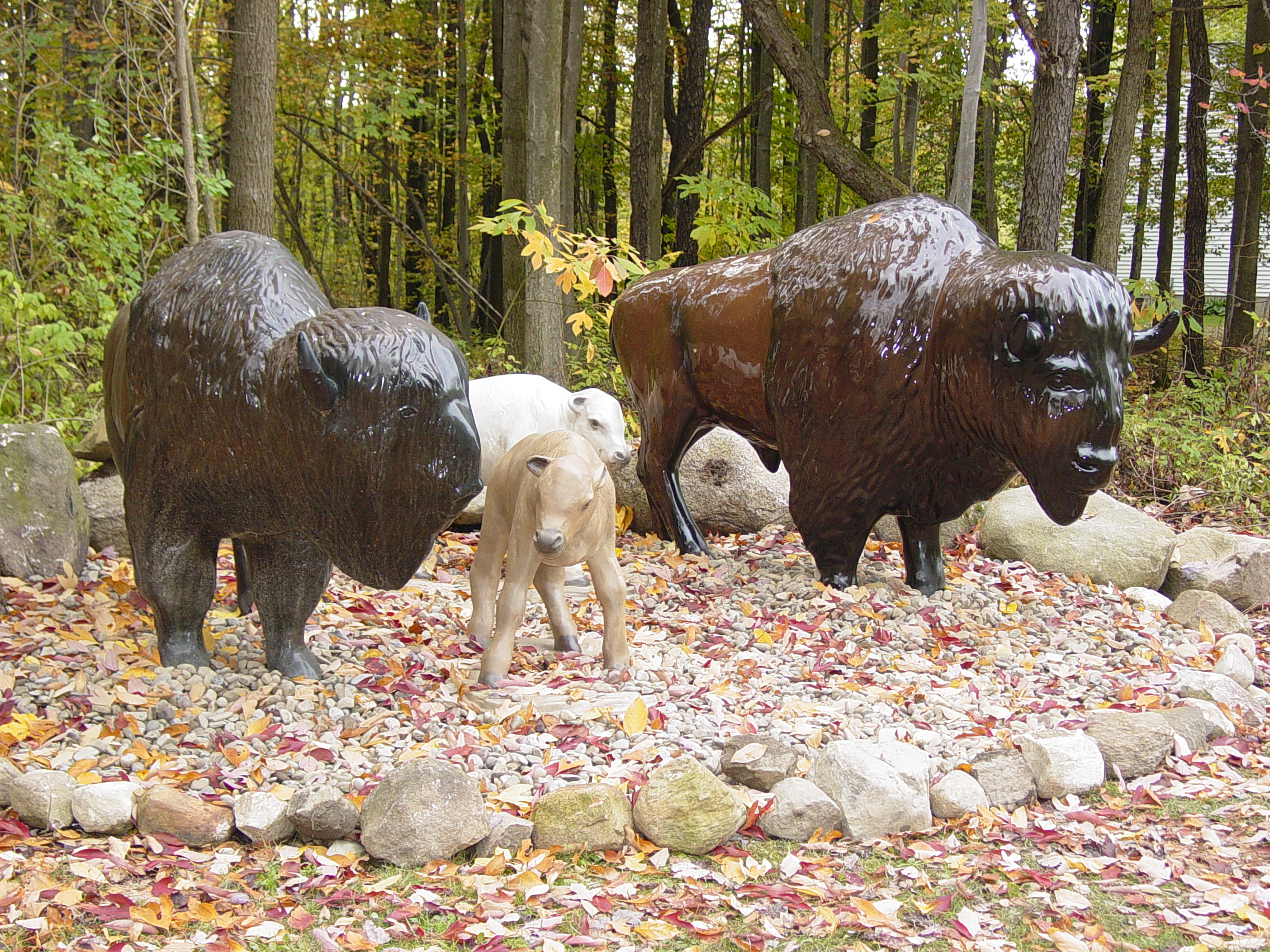 Buy Buffalo Statues Fiberglass Buffalo Statues
