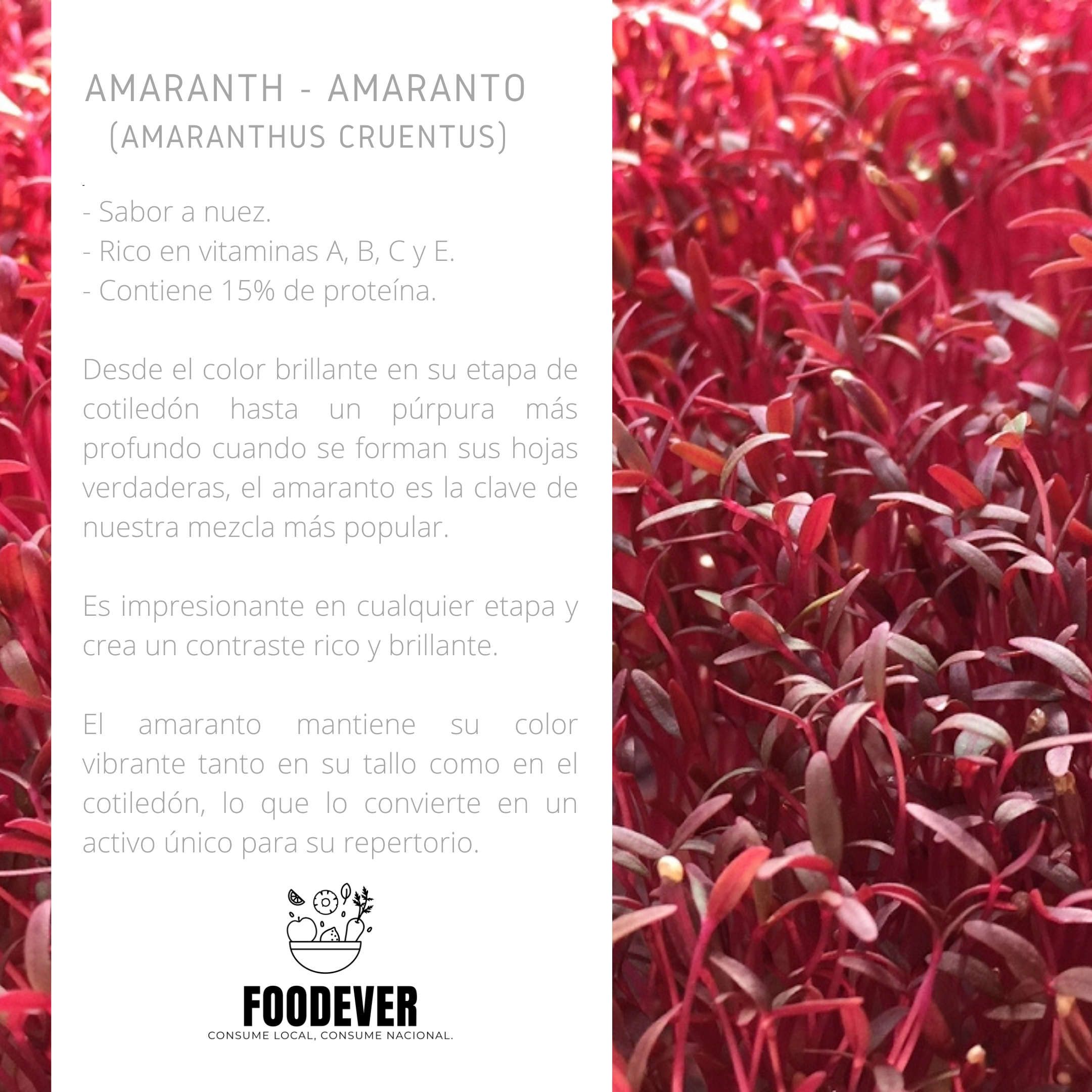 Microbrote Organico Amaranto