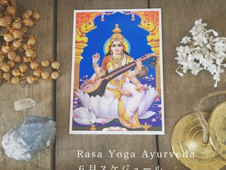 6月スケジュール・WS